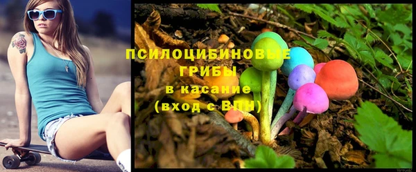 герыч Бородино