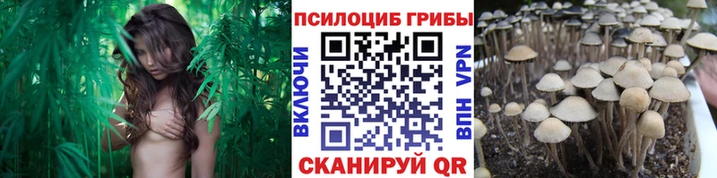 маркетплейс официальный сайт  Магнитогорск  Галлюциногенные грибы GOLDEN TEACHER 